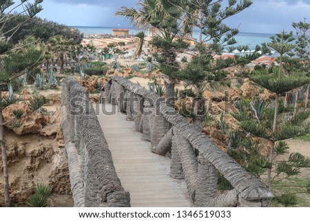 Tropical pathway to adventure begin from the wooden bridge