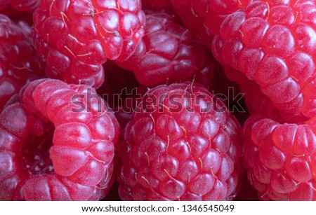 Beautiful Photo Of Raspberry Fruits. Macro Photography