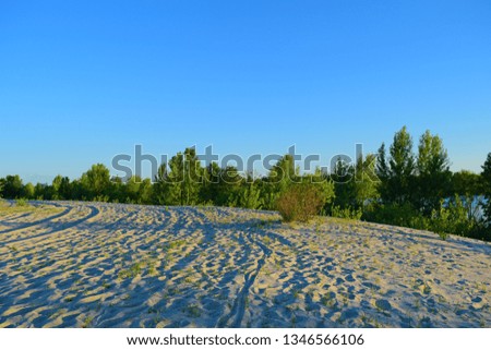 View of the desert and dark forest. Summer landscape
