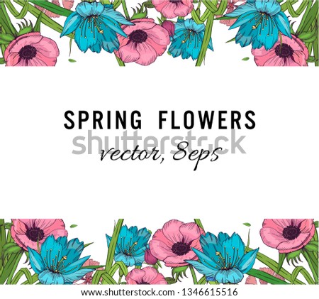 Spring vector illustration, flowers on white background