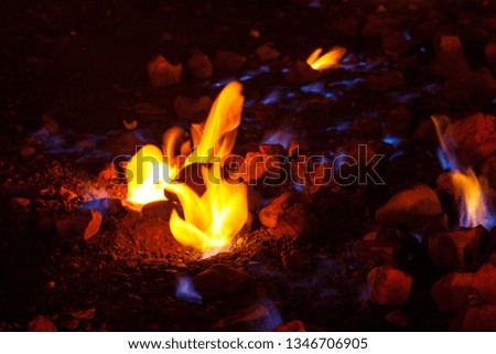 nature fire on the ground