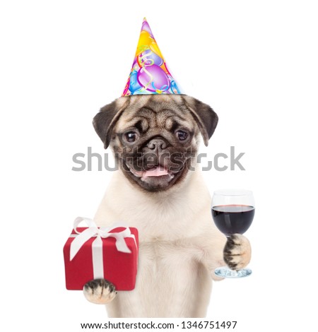 Pug puppy in party hat holding glass of red wine and gift box. isolated on white background.
