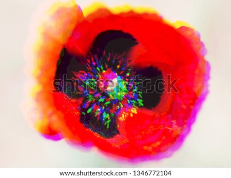 Red poppy on a white background. The petals are blurred as they move away from the center.