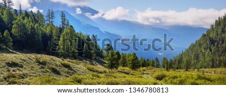 Mountain taiga, summer landscape Royalty-Free Stock Photo #1346780813
