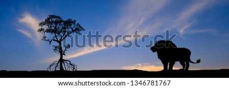 Amazing sunset and sunrise.Panorama silhouette tree in africa with sunset.Tree silhouetted against a setting sun.Dark tree on open field dramatic sunrise.Safari theme.Giraffes African.