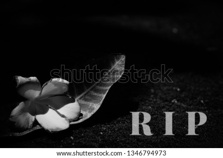 Dry flower and leaf of Plumeria with word "RIP" (Rest in Peace) on yard. Black and white color.  Free space for any text design. Feeling sadness. End of life. 