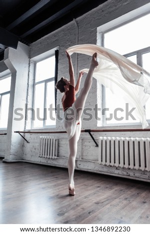 Beautiful dance. Attractive skillful ballerina holding her leg up while performing the dance