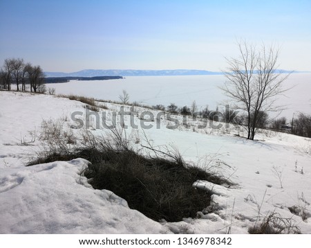 Woodland and forest ground covered with layer of snow. close up. Part of winter snow in field. Thawed patch, melting snow. Growing grass in snow.