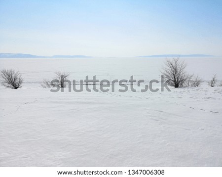 Trees in the winter landscape on the background of a large empty space in Russia, in March