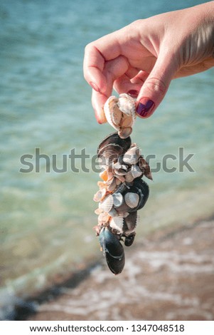bunch of seashells in the hand of a girl on the beach against the backdrop of the sea