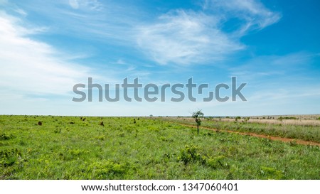 Emas National Park