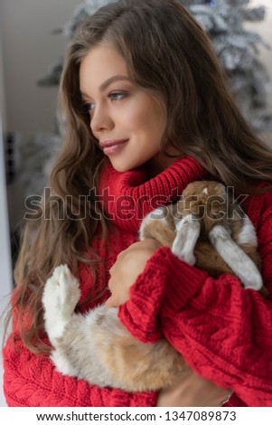Beautiful leggy young girl, wearing red sweater and wool socks stays at the window and gently holds a rabbit in her hands in christmas interior. Commercial and advertising design. Copy space.