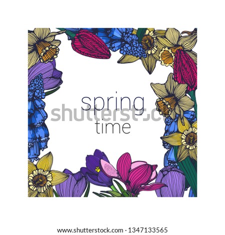 spring flowers hand drawing, daffodil, Tulip, Crocus vector illustration, circle, butterfly, bumblebee