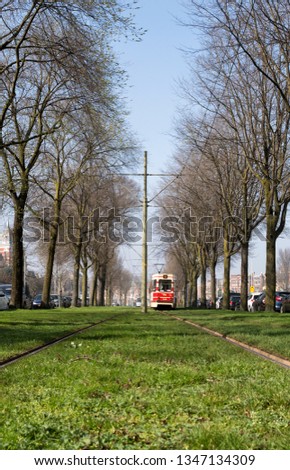 Tram in the street in Den Haag, The Netherlands