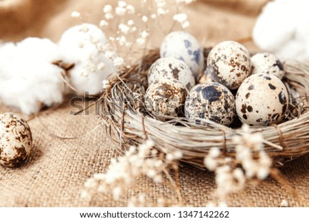 Easter decoration with egg in nest and cotton on brown rustic linen canvas background. Easter concept. Flat lay top view copy space. Spring greeting card