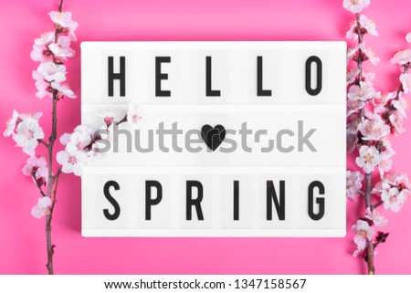 Sprigs of the apricot tree with flowers and lightbox with text Hello spring on pink background. The concept of spring came, happy easter, mother's day. Top view. Flat lay