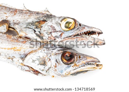 hairtail fish, also called Trichiurus haumela