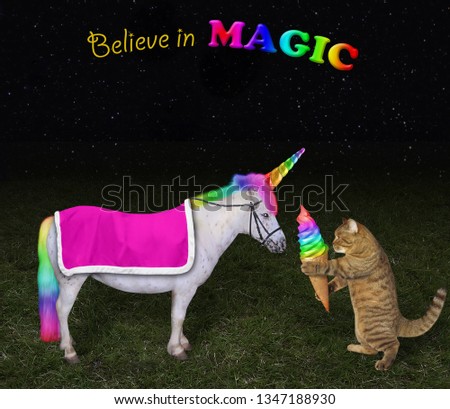 The cat is feeding its unicorn with color ice cream in the meadow at night. Believe in magic.