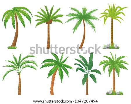 Palm trees. Tropical tree green leaves, beach palms and retro california greenery. Miami trees, coconut palm or exotic hawaii forest green tree. Isolated vector symbols set