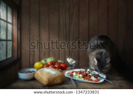 Still life with breakfast and adorable kitty