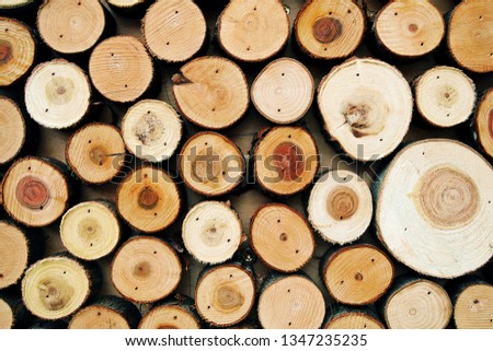 Abstract background made of many wooden stumps.