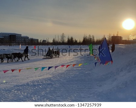 Beautiful view with reindeer sledding at sunset.