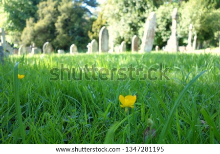 Beutiful blurry photo of church cemetery graveyard for background use, Christianity concept. Space to add text on unfocussed long green grass with small yellow flowers blooming in spring summer day.