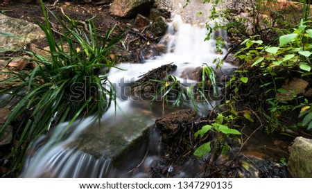 A small stream passing through a camp site  between plants in the Baviaanskloof in the Eastern Cape in South Africa. Long exposure photo taken early evening with motion captured beautifully.