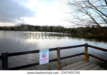 Bird feeding station in front of beautiful lake and forest in Hainault, Redbridge, Essex / East London