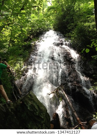 Peaceful waterfalls cascading over rocks, carving their way through the woods and valleys.