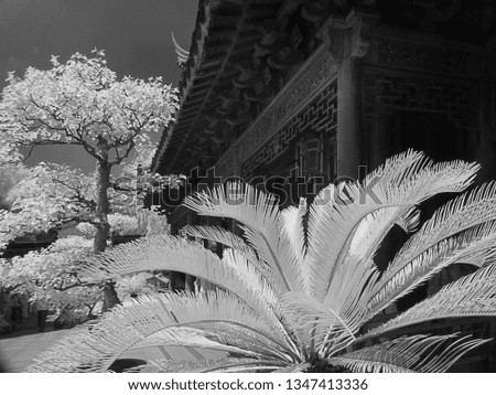 Plants and building in Yu Garden, Shanghai, China, infrared photography          
