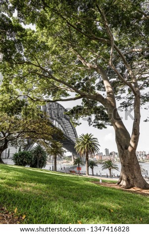 Sydney Harbour Bridge through trees
