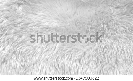 White wool texture background, light natural animal wool, white seamless cotton, texture of fluffy fur for designers, close-up fragment white wool carpet