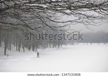 cross-country skier on frozen lake in Nebrodi Park, Sicily