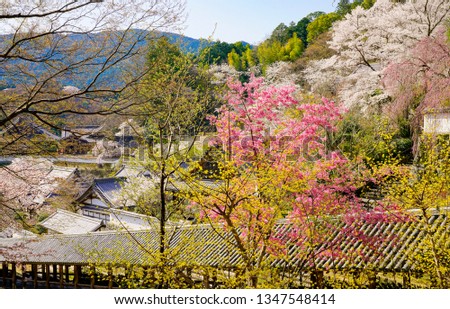 Hase-dera Temple in Nara Prefecture is also known as a flower temple, and in spring various flowers such as cherry blossoms and magnolia bloom, and the whole temple is colorfully colored.