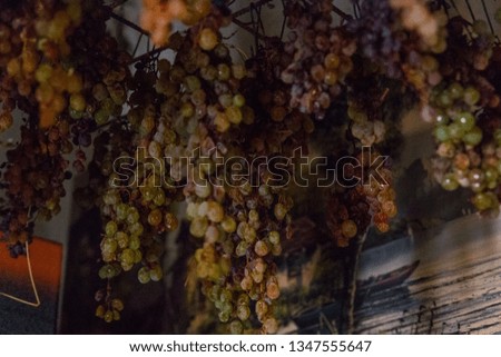 The aging of the grapes for the production of the renowned Sciacchetrà of the Cinque Terre