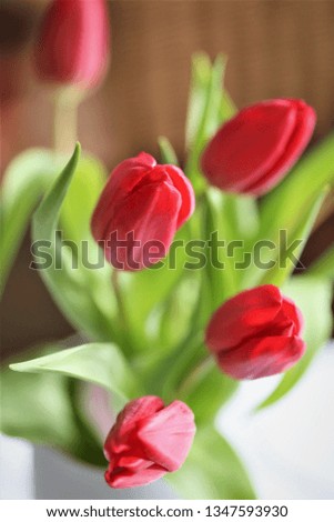 An Image of a tulip