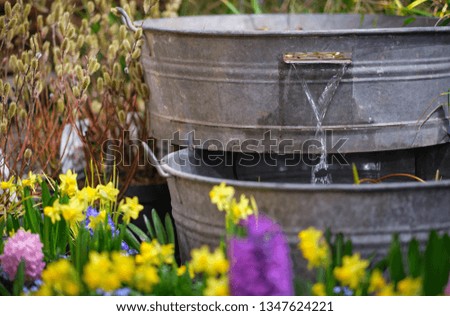 garden with flower pot decoration 
