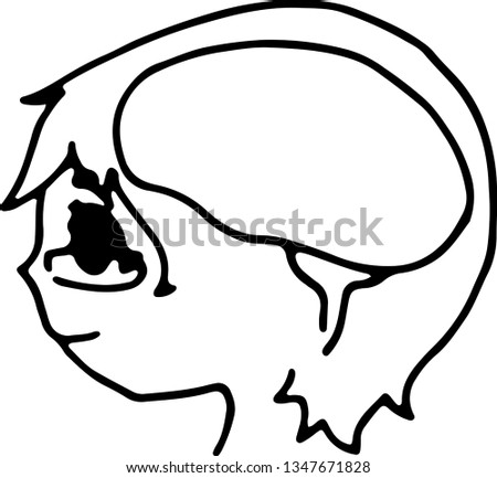 Drawing vector. Brain design. black and white color. For decoration.