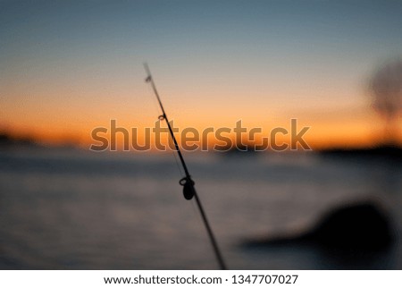 Fishing in focus