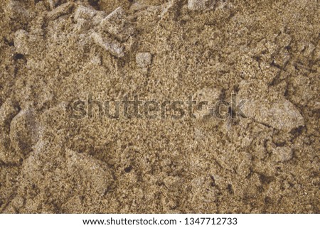 Wet sand texture. Sea and ocean theme. Natural background. Image with place for text.