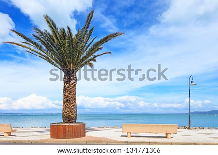 Palm tree, bench and lamp on the sea in Porto Santo Stefano travel destination. Argentario, Tuscany, Italy.
