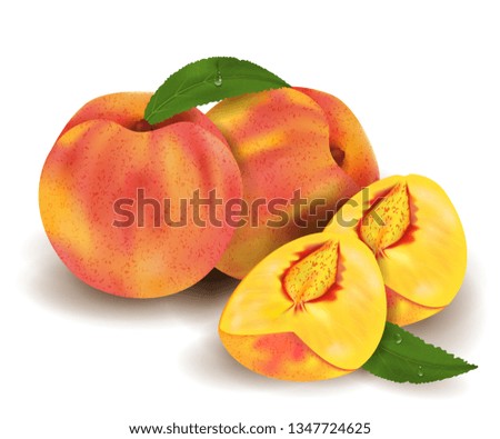 Realistic peaches whole and slices, green leaves with drops. Ripe juicy fruit 3d illustration high detail isolated on white background. Vector illustration.