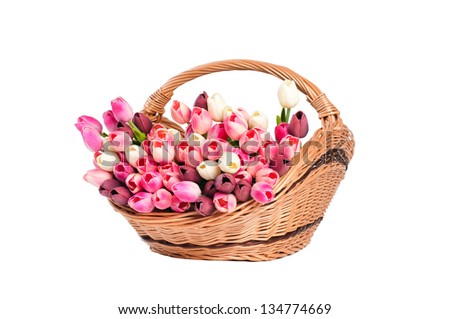 Tulips in the basket on a white background.