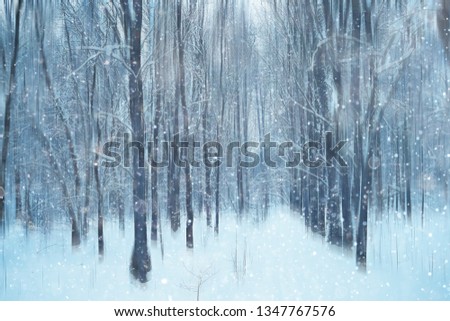 forest snow blurred background / winter landscape snow-covered forest, trees and branches in winter weather