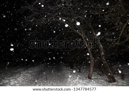 Snowfall, blizzard, snow flakes. Winter night landscape with trees and road