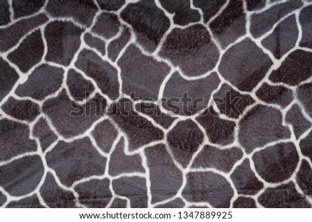 beautiful giraffe texture background