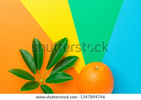 Ripe juicy orange tropical plant leaf on rainbow multicolored pinwheel striped sunburst background. Healthy balanced diet clean eating superfoods vitamins concept. Creative food poster. Copy space