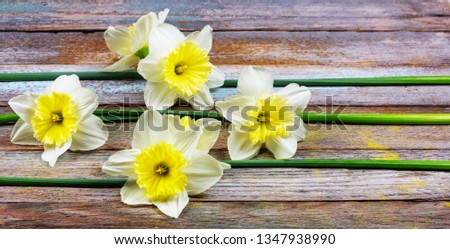 the pattern of flowers narcissuses at retro wooden background with copy space