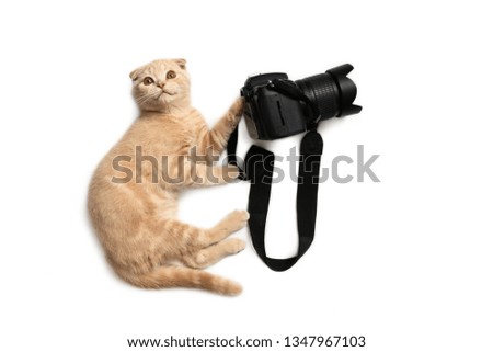 Funny cat with camera isolated on white background. Photographer profession. Creative concept for World photography day, banner, greeting card.
